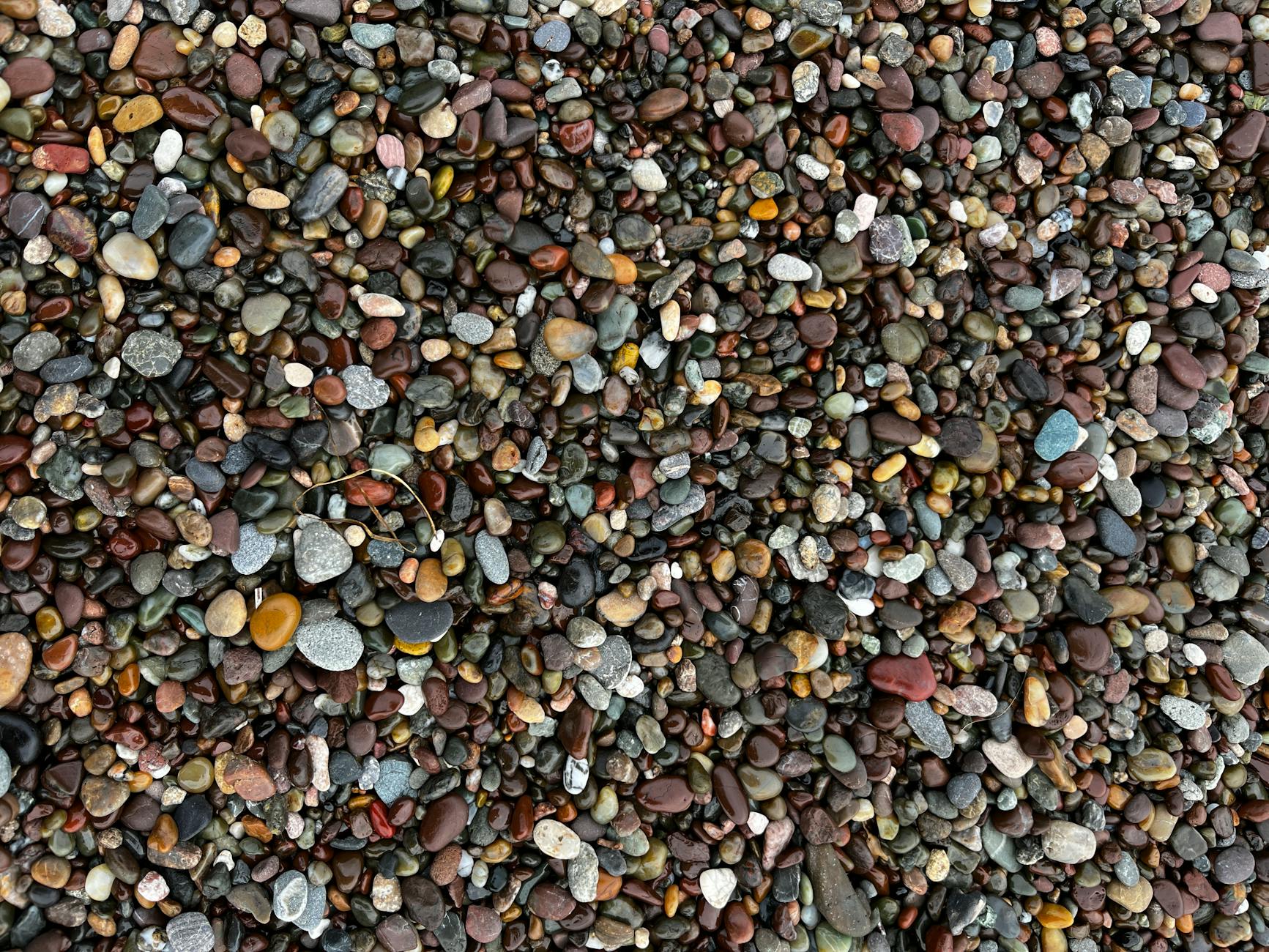 Why Is the California Trial Called a 