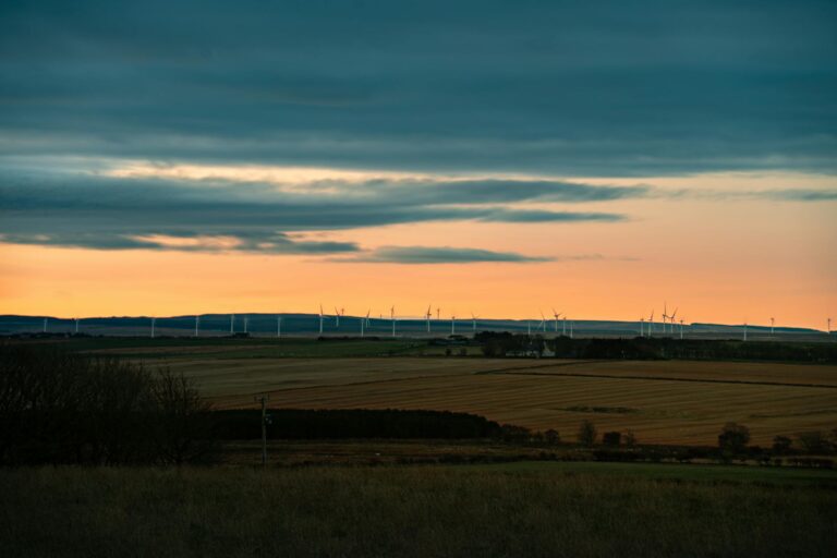 ZOA Energy Preservative Free Claims Settlement: What The Allegations Say And What The Company Denies - Featured image