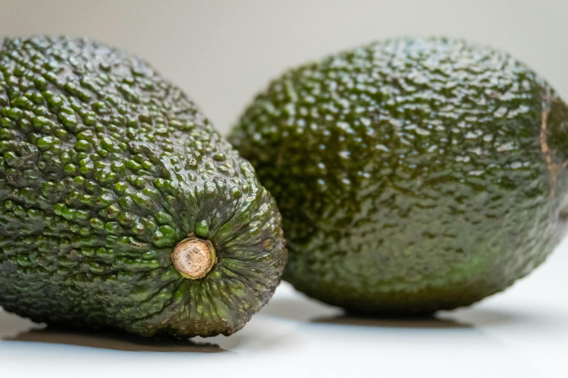 Avocado Mattress False Organic Labeling Class Action - Featured image