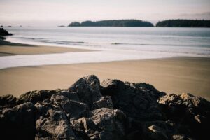 Canadian Lawyer Says American Meta Verdict May Influence BC Court Case - Featured image