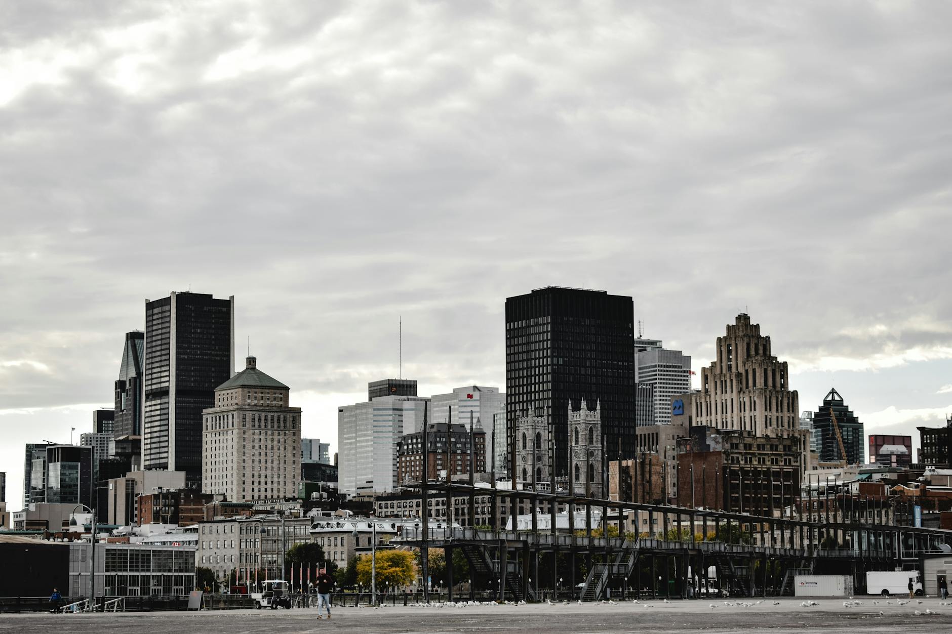 Canadian Settlement and International Considerations