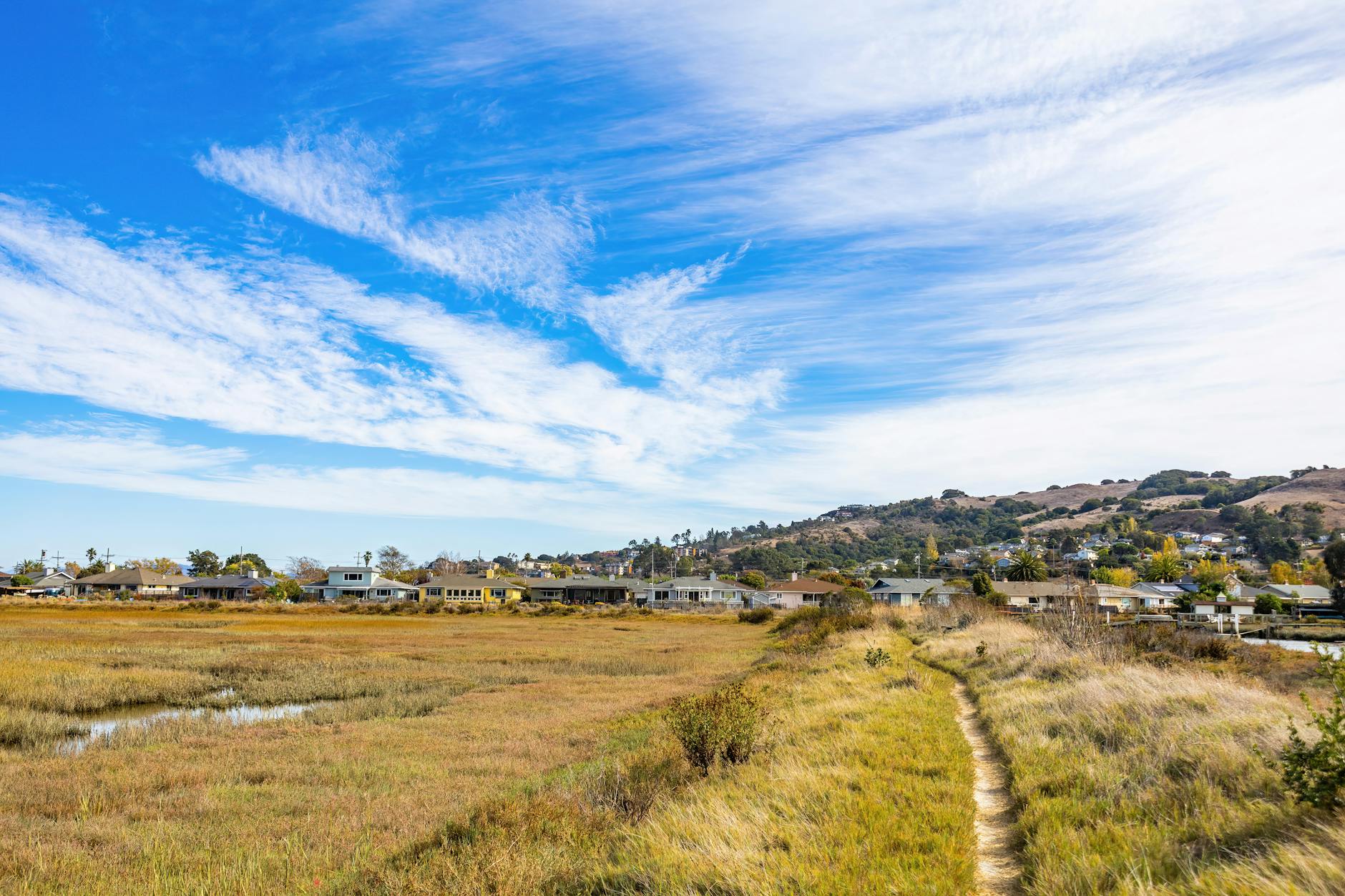 Common Issues and Important Limitations of the Settlement