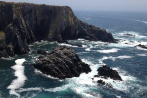 Hershey Reese's False Advertising Class Action Lawsuit - Featured image