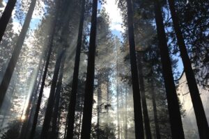 Hilton ADA Accessible Hotel Room Class Action Lawsuit - Featured image