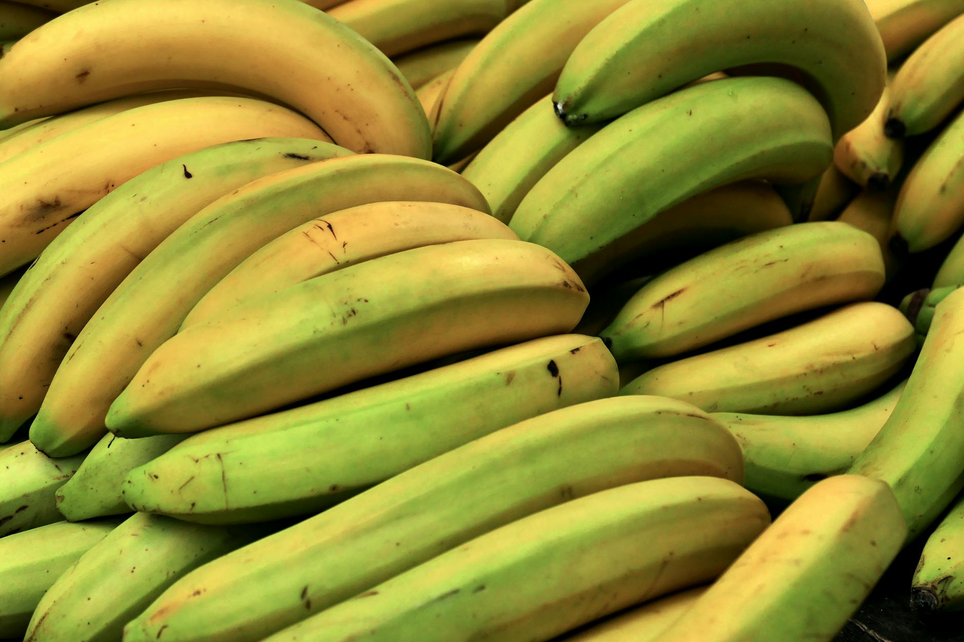 How Banana Republic and Gap Outlet Stores Used False Reference Pricing to Deceive Customers