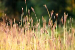 Investor Lawsuit Alleging Nvidia Hid Billion-Dollar Crypto Income Moves to Trial Phase - Featured image