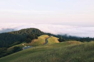 Maui Wildfire Disaster Class Action Settlement - Featured image