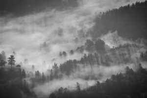 Uber Driver Background Check Violation Class Action Settlement - Featured image