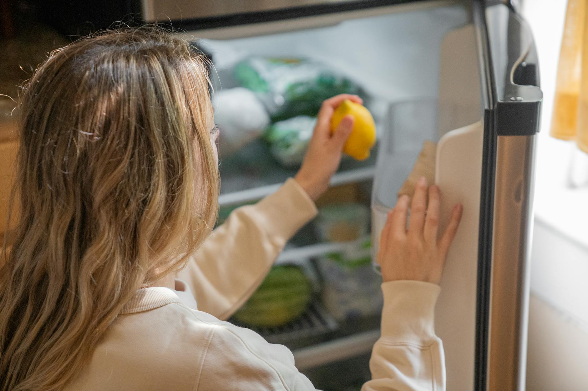 What Are Refrigerator Compressor Failures and Why Do They Matter?