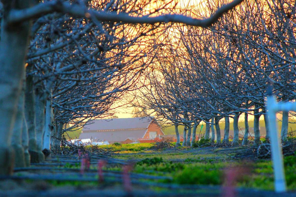 What Are Tracking Pixels and Why Did This Violation Matter?