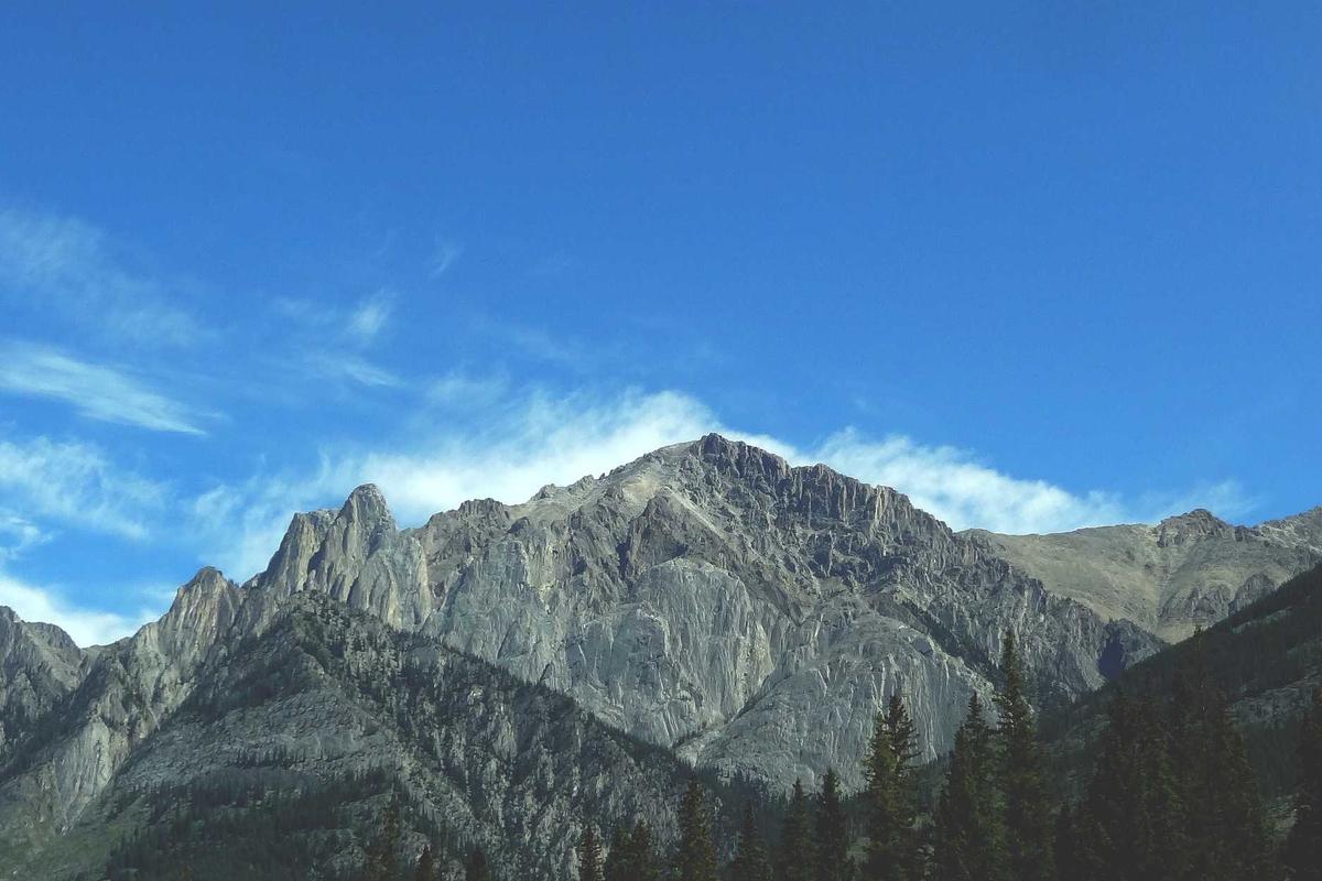 What Is the LandAirSea GPS Settlement and How Much Can You Get?