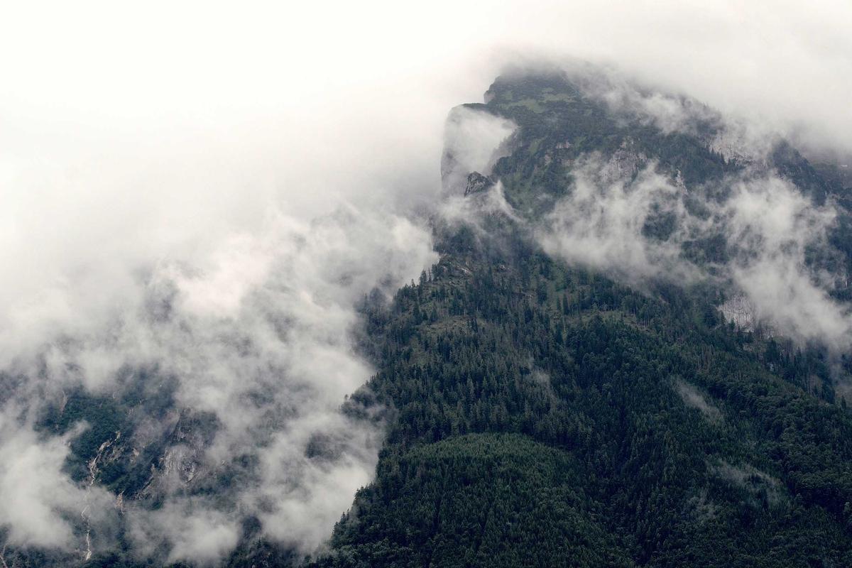 What Is the Reputational Damage When Multiple Defects Emerge Across Different Models?