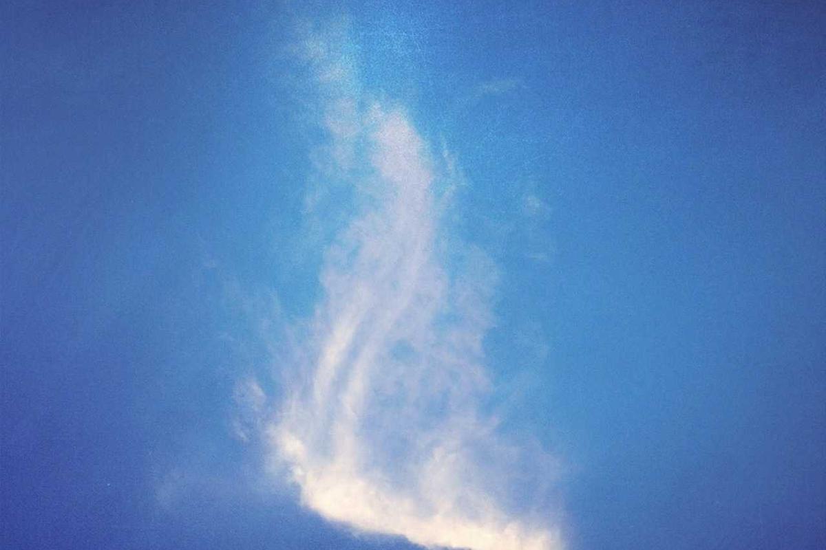 What Scientific Evidence Links Talcum Powder to Ovarian Cancer?