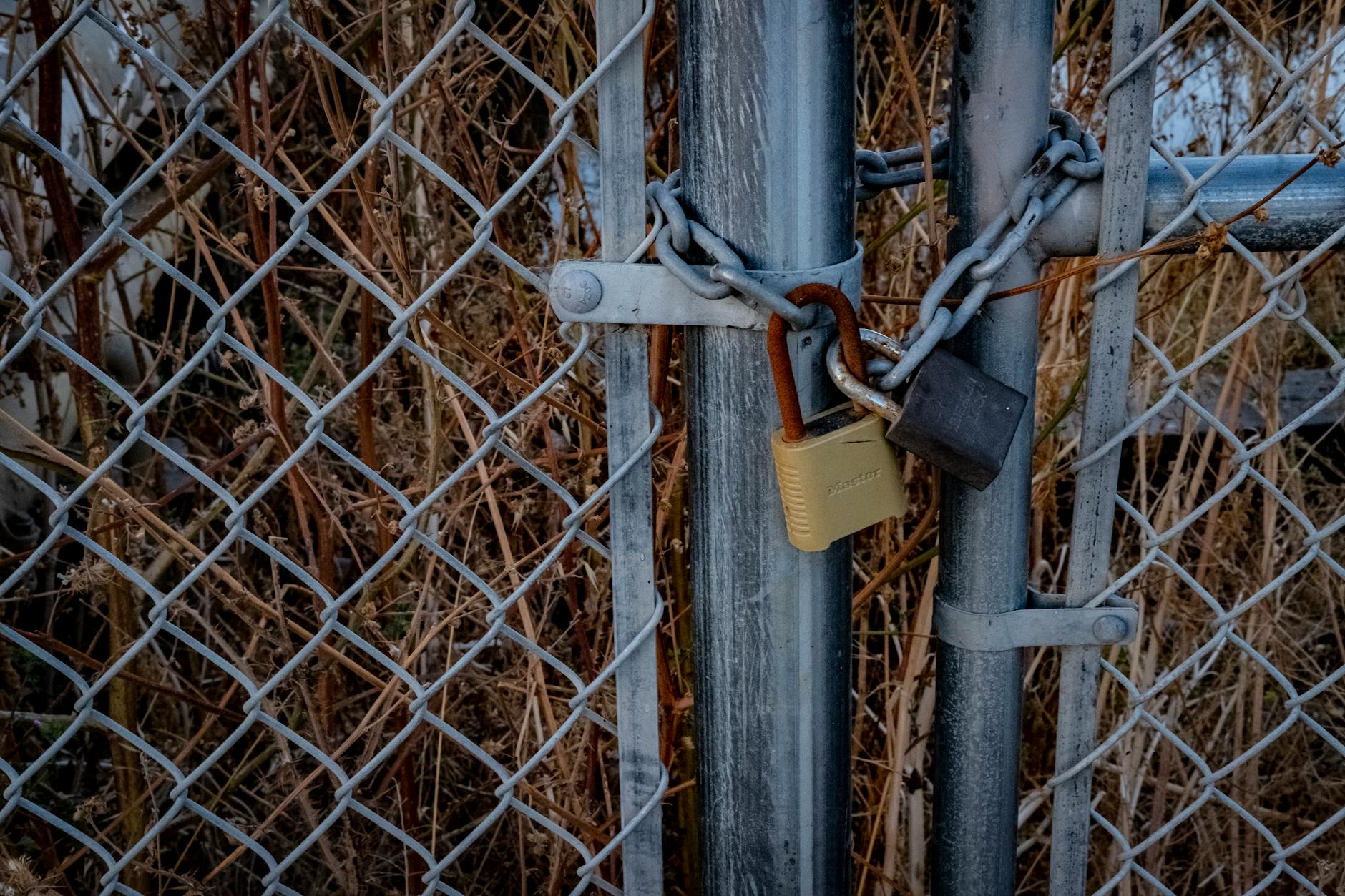 What Was the Security Flaw That Enabled the TikTok Theft Challenge?