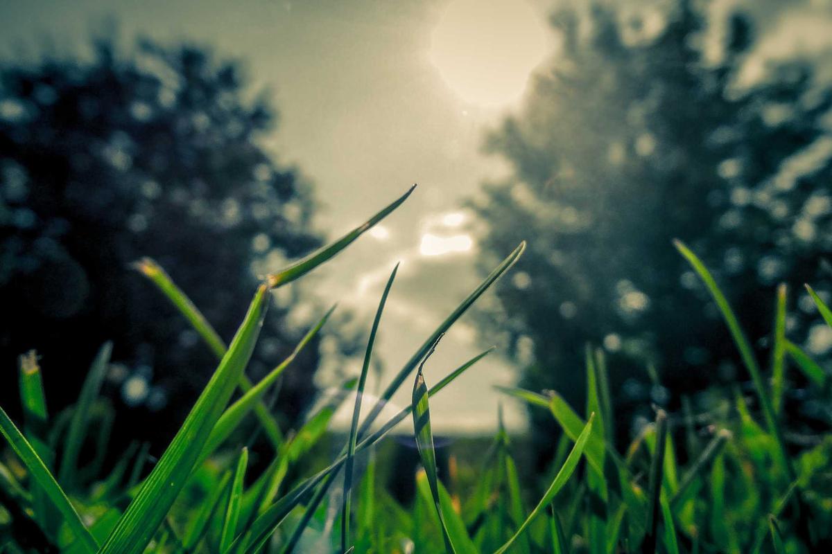 Who Has Been Affected and What Are Typical Hearing Loss Patterns?