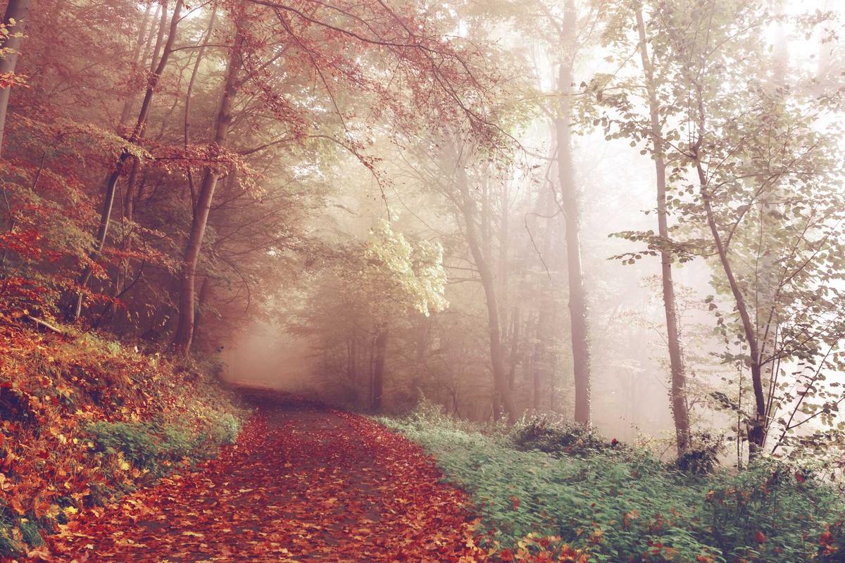 Who Is Eligible to Claim and How to File