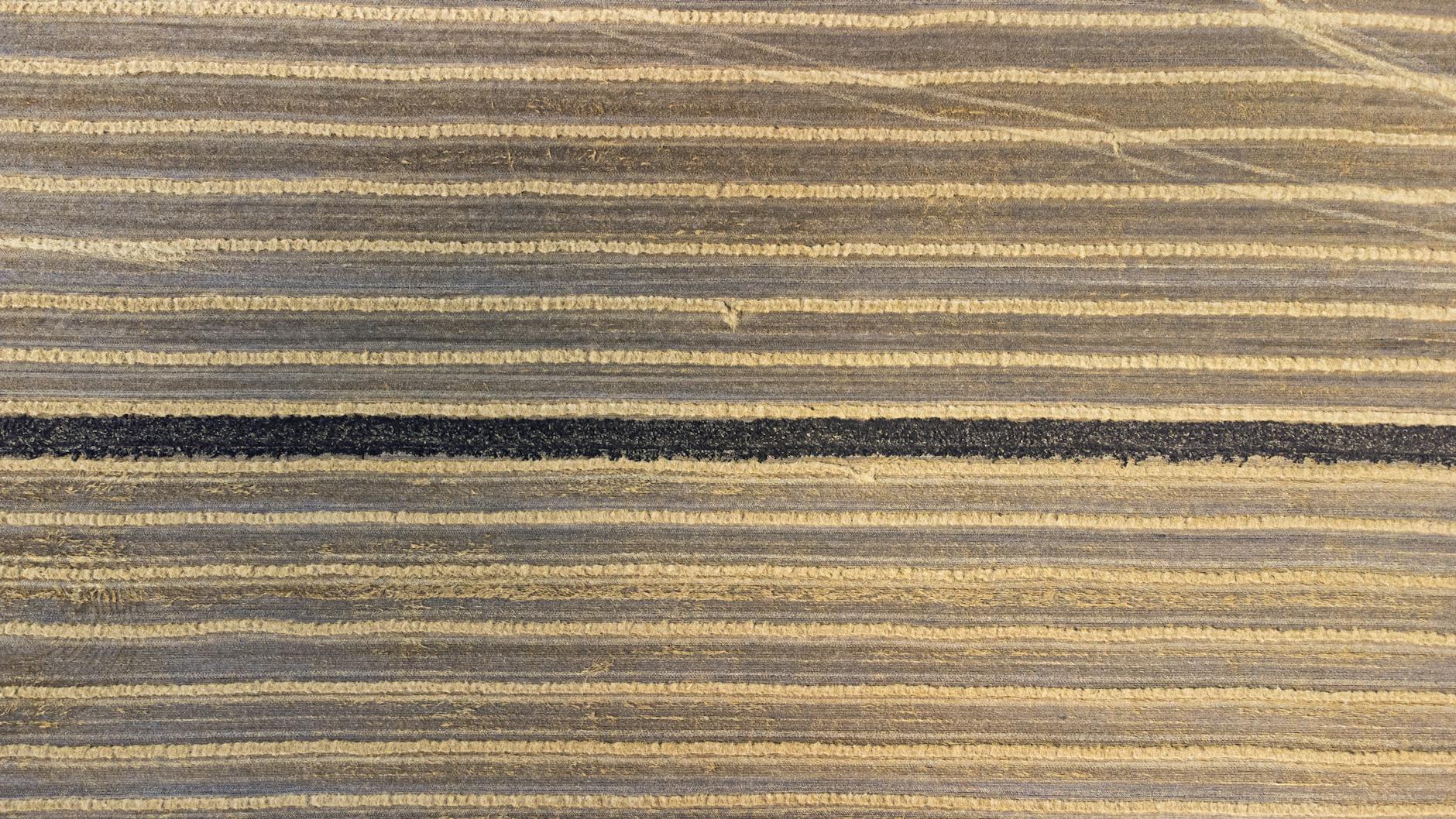Why Is There No Stripe-Specific Payment Processing Fee Class Action?
