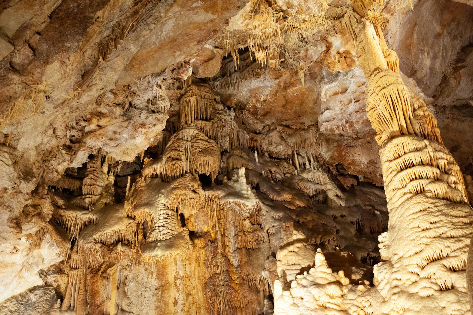 Cave Enterprises Operations LLC—The Franchisee Under Investigation