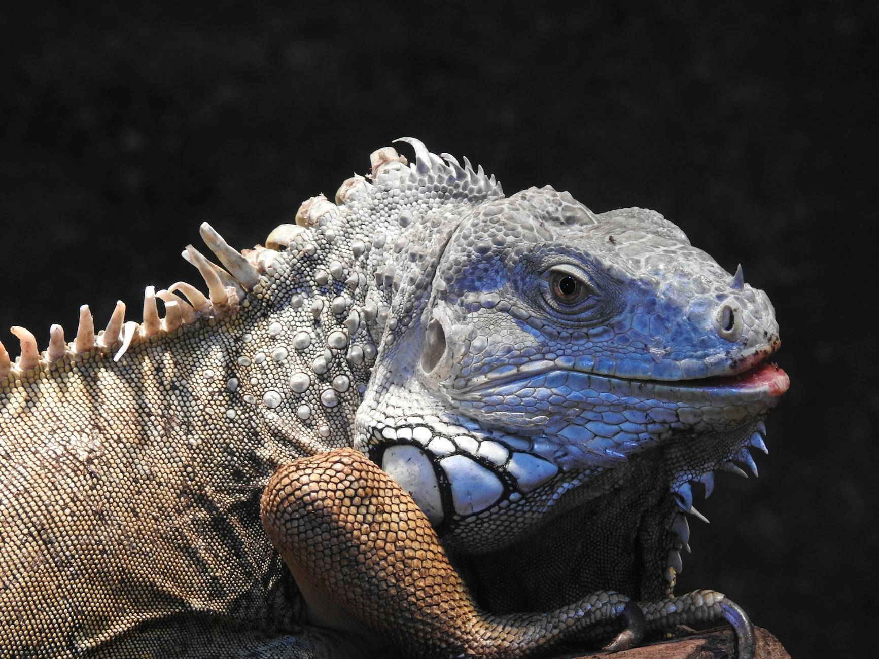 How GEICO Allegedly Underpays Total Loss Claims