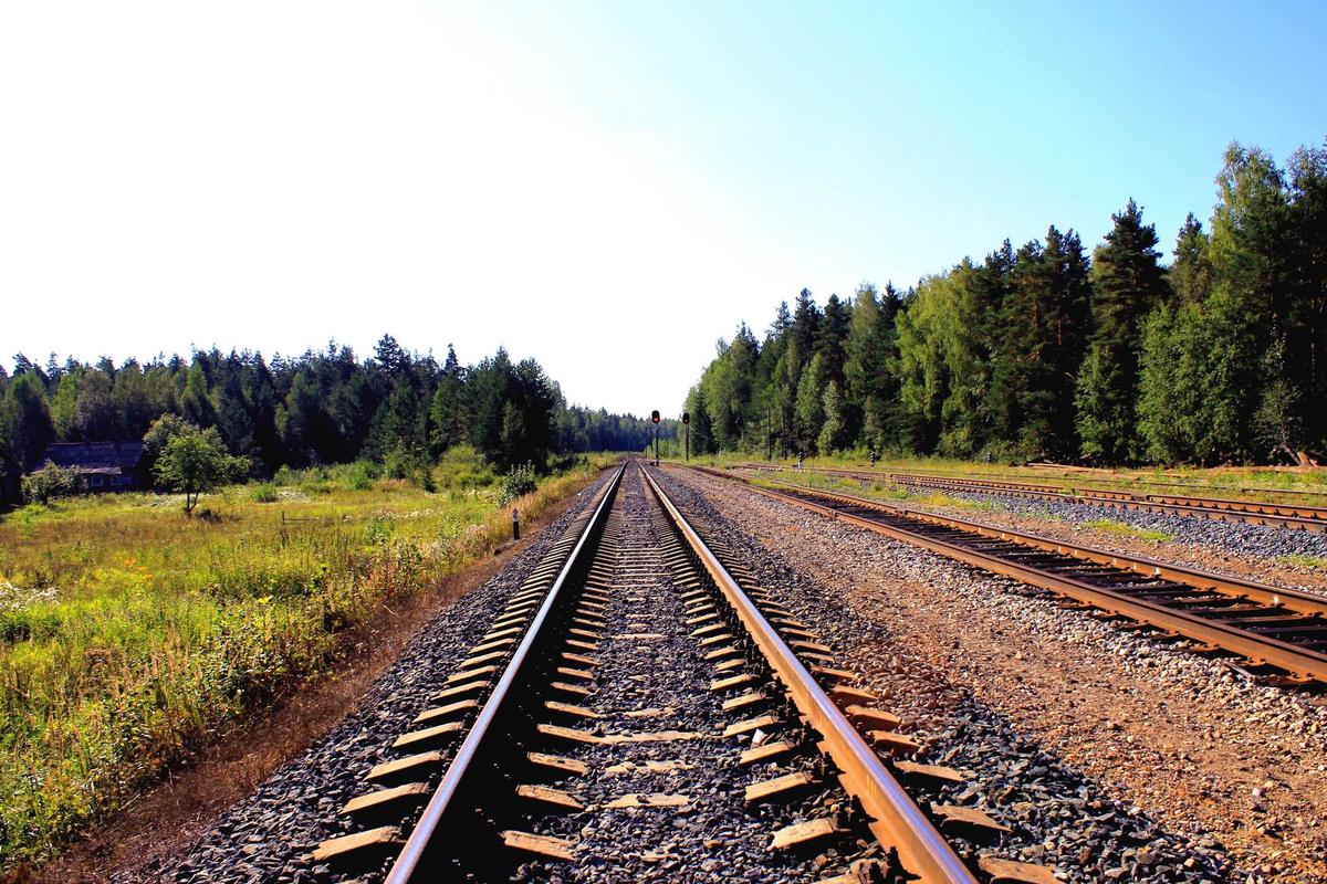 WHAT ARE THE LEGAL CONSEQUENCES FOR SUBWAY FRANCHISEE OPERATORS?