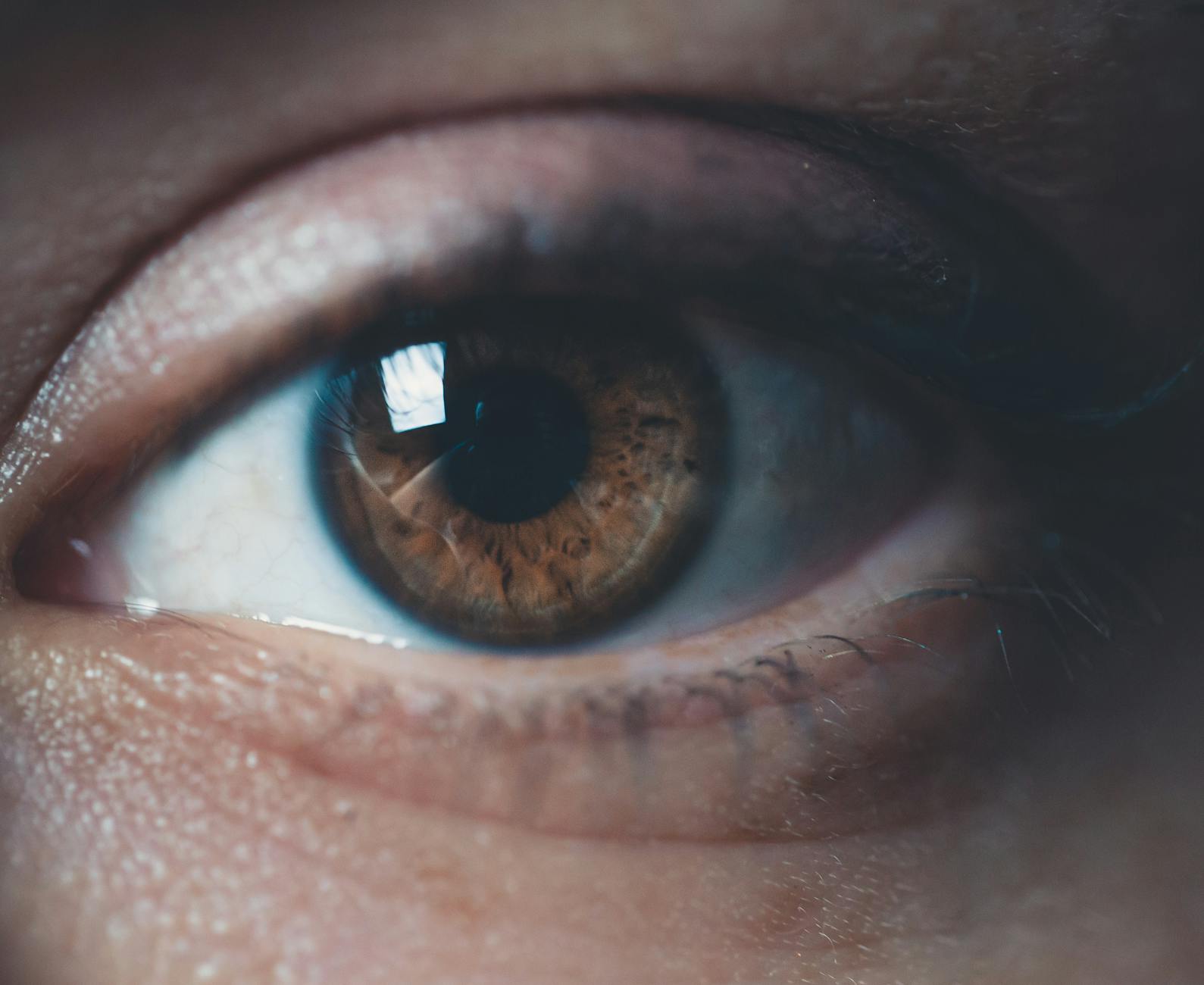 WHAT WAS THE EYE CARE LEADERS DATA BREACH?