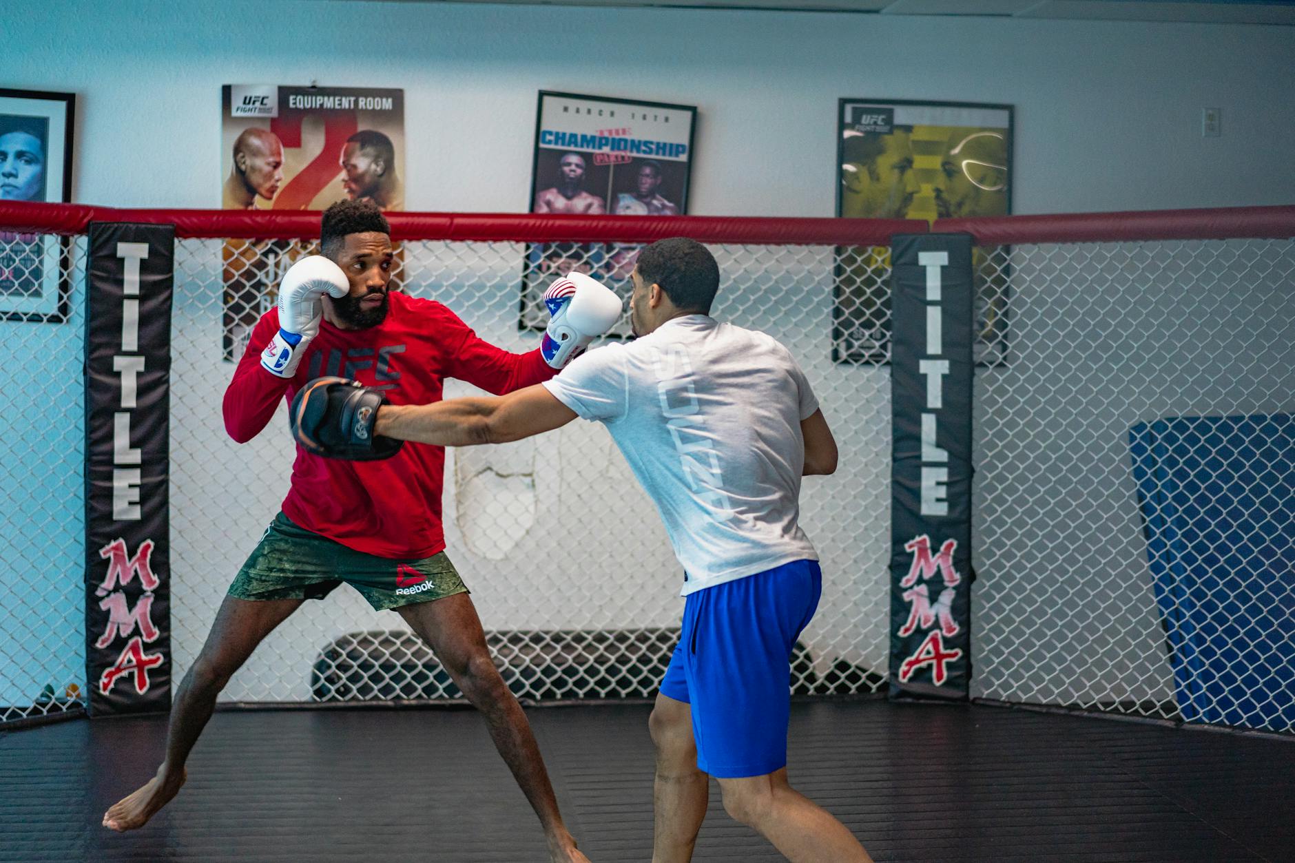 What Was the UFC Accused of Doing?