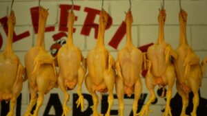 Chicken Price-Fixing Settlement