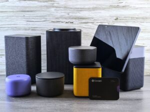 Google Assistant Privacy Settlement