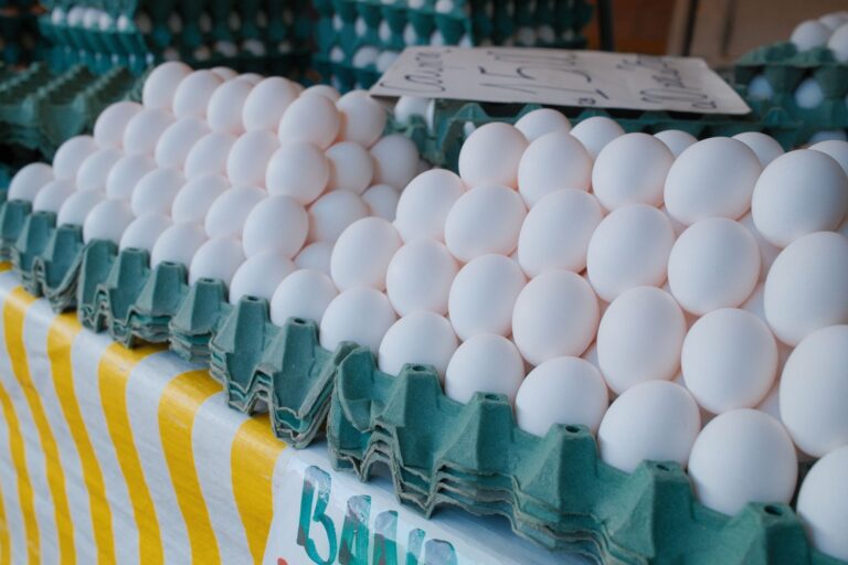 Egg Cartel Settlement: $3.3 Million Plus 53 Million Eggs for Price Fixing - Featured image