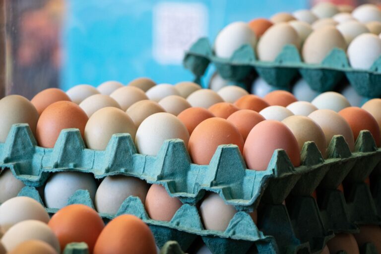 Egg Producer Antitrust Settlement: State Regulatory Agencies Win Major Lawsuit Victory - Featured image