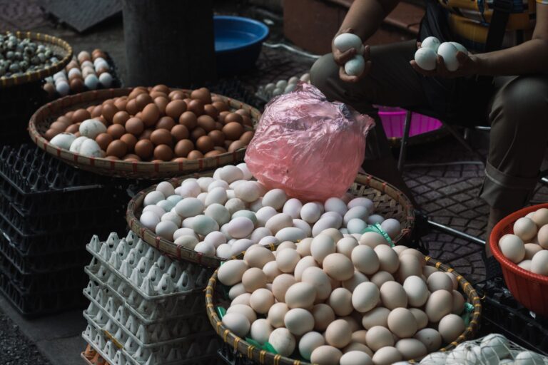 Egg Producer Settlement: Millions of Eggs to Be Distributed Nationwide - Featured image