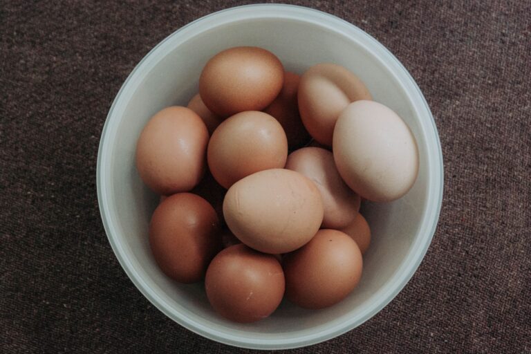 Egg Antitrust Case: Cal-Maine Objects to Lifting Freeze on Settlement Terms - Featured image