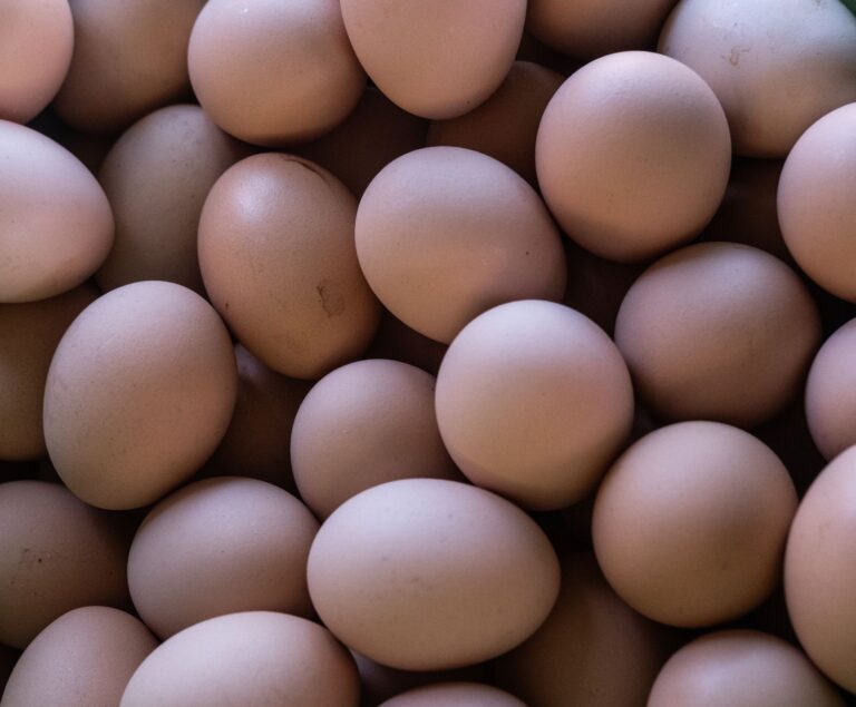 Egg Producer Antitrust Settlement: State Regulatory Agencies Win Major Lawsuit Victory - Featured image