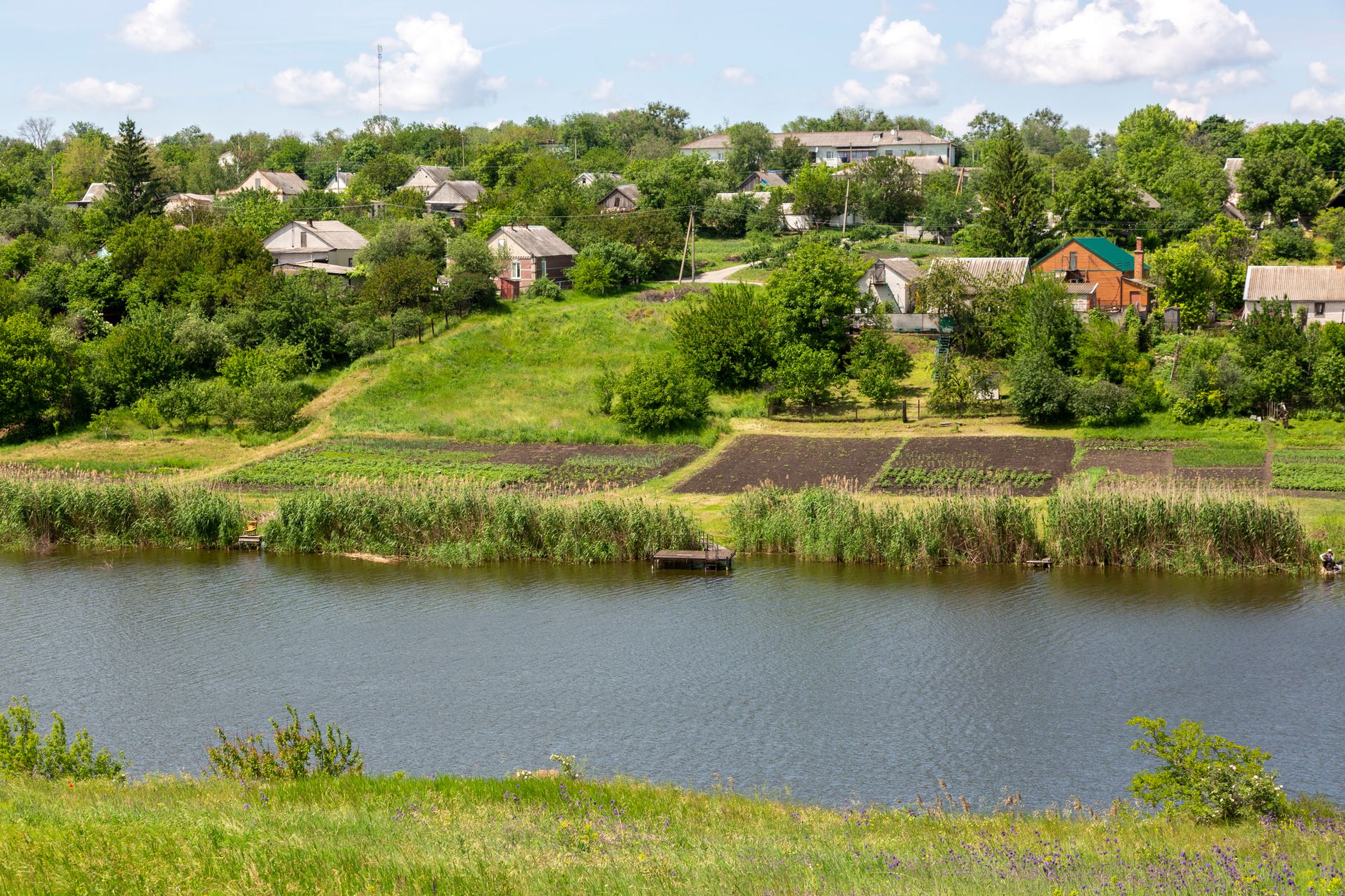 Settlement Claim Filing FAQ: Rights, Deadlines, and Legal Process - Featured image