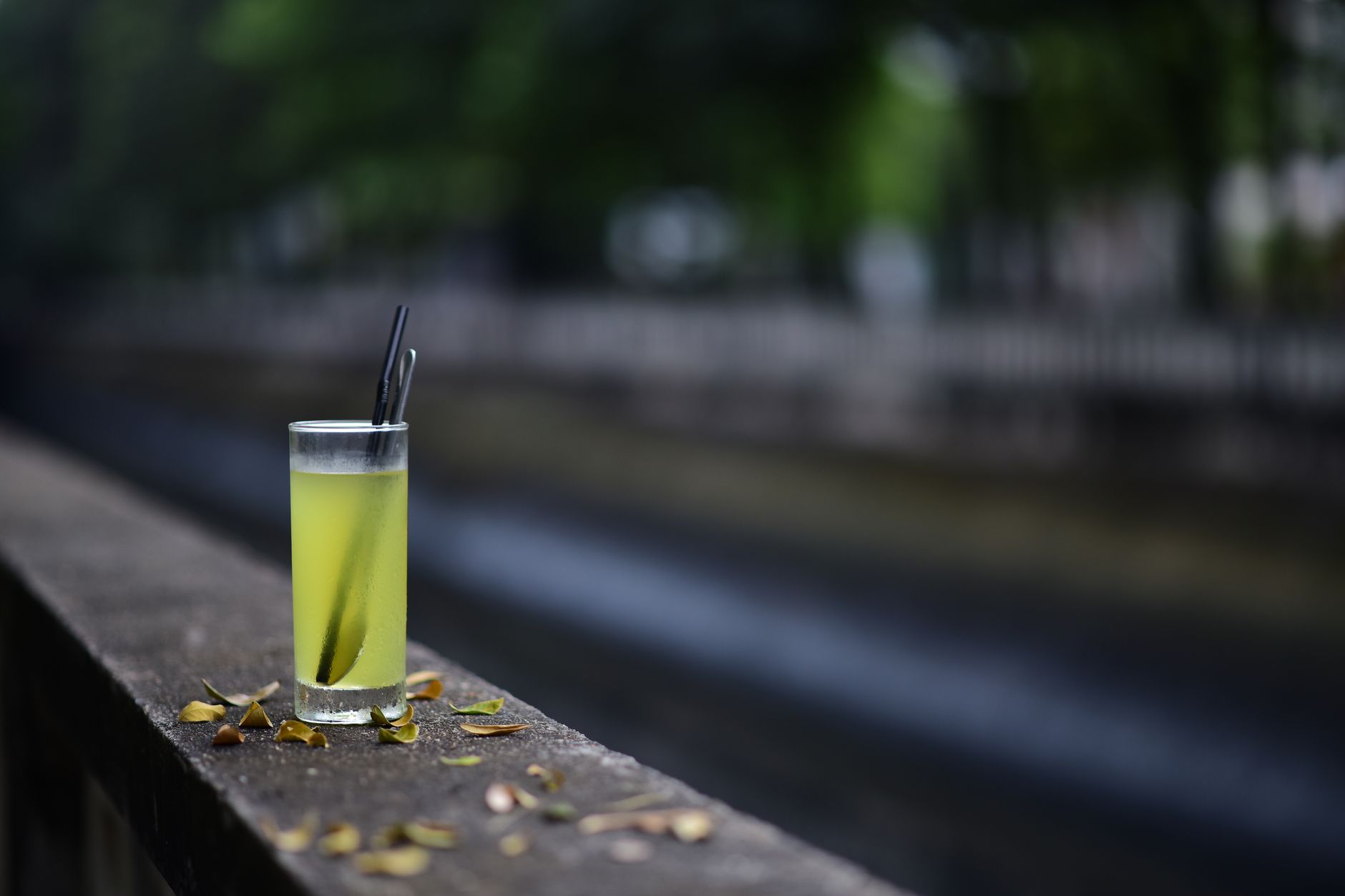 Lemonade Data Disclosure Settlement: What Happens After the September 8 Deadline? - Featured image