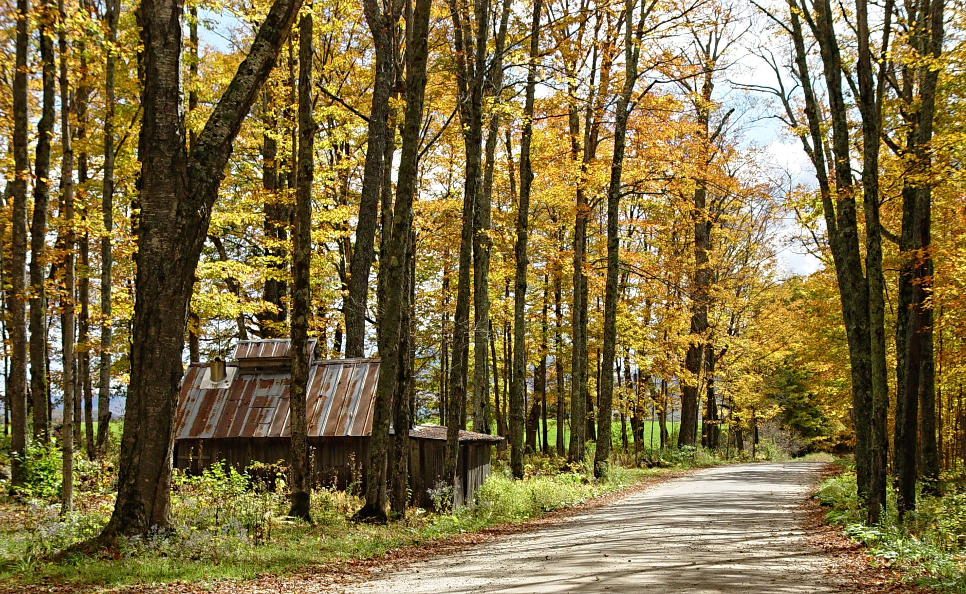 Vermont Receives $92.7 Million Meta Settlement on Data Privacy - Featured image