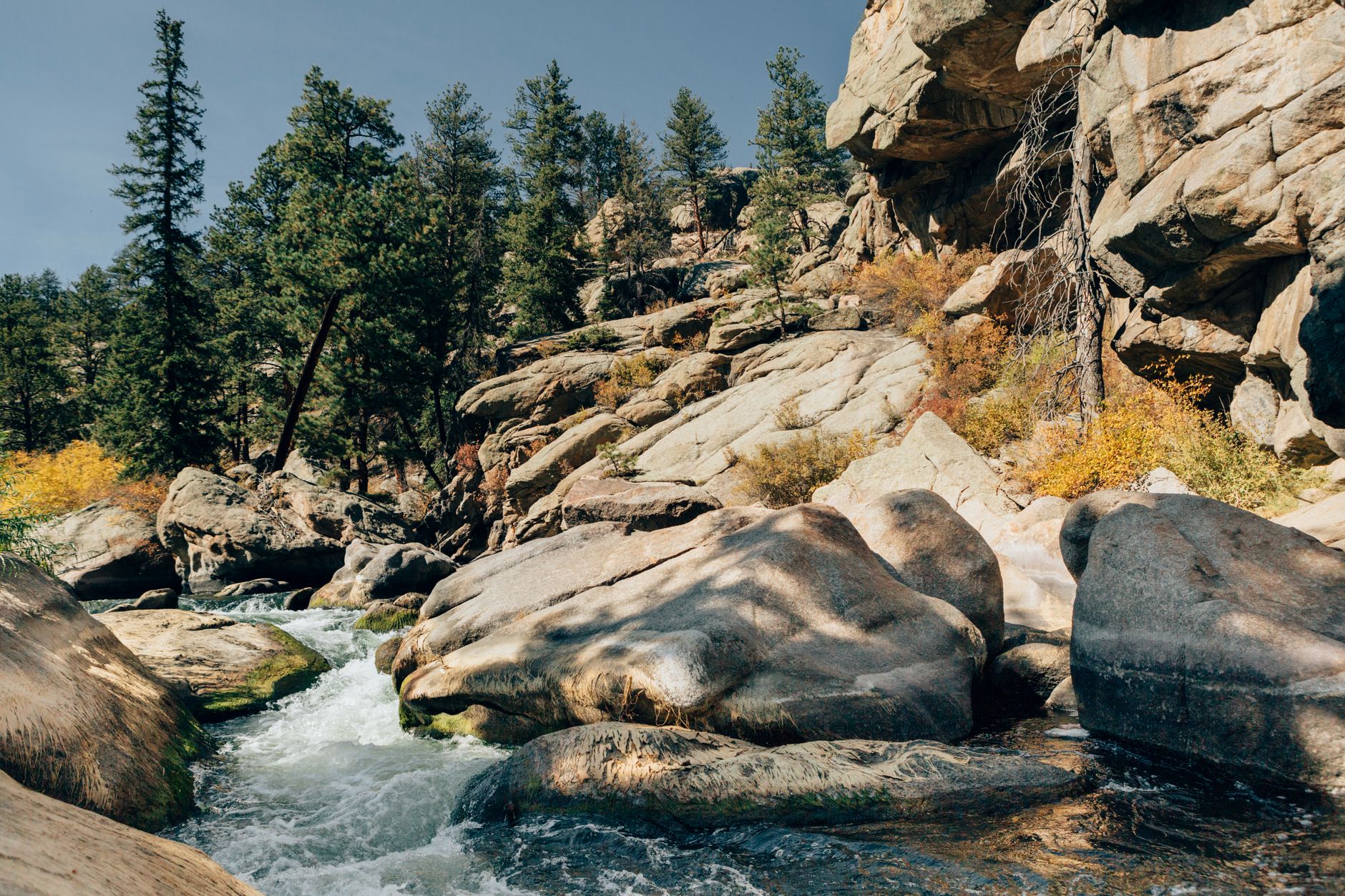 Boulder Canyon Avocado Oil Chips Lawsuit: Which Products Are Named? - Featured image