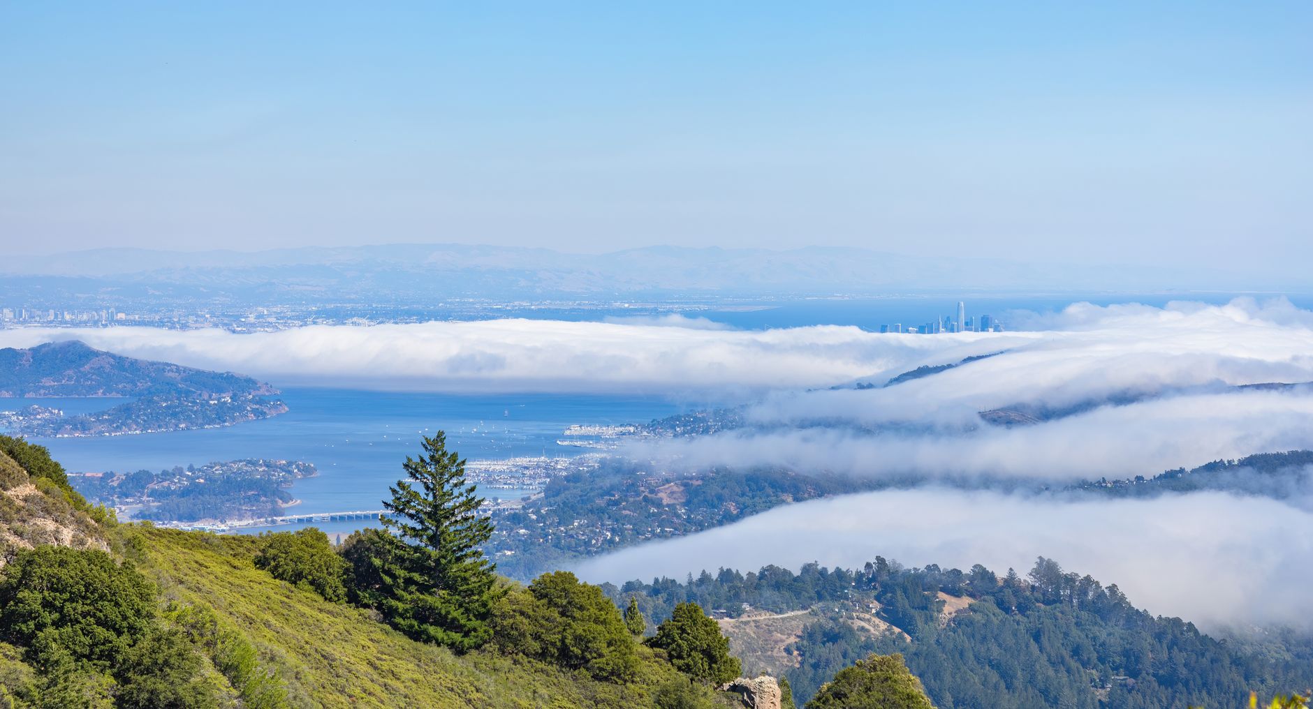 California's Proposed Meta Settlement Share: What Has Been Announced? - Featured image
