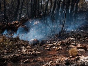 Disaster, Wildfire and Hurricane Settlements FAQ for October 2026: Source-Checked Answers to Common Questions - Featured image