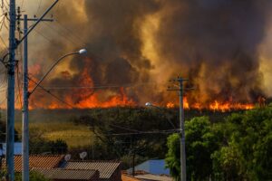 Disaster, Wildfire and Hurricane Settlements Explained for 2026: Who It Affects, Key Evidence, and What to Do Next - Featured image