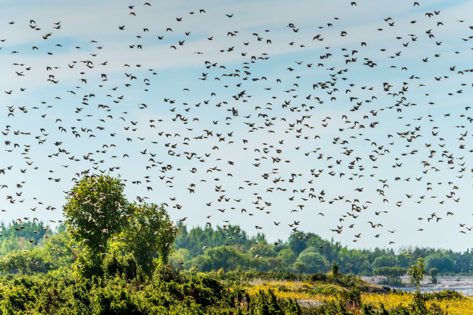 Flock Safety Camera Lawsuit: Can Denver Residents File a Claim? - Featured image