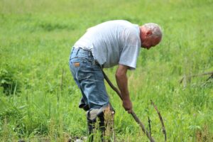 Illinois Resident Files First Lawsuit Against Taylor Farms Over Cyclospora Illness - Featured image