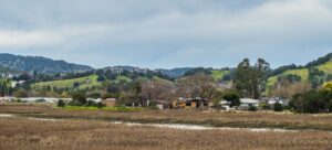 Menlo-Atherton Grad Sues Former Teacher in Sexual Abuse Lawsuit - Featured image