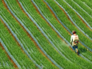 Monsanto Roundup Lawsuit October 2026 Settlement Update: What Changed? - Featured image