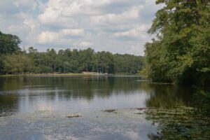 South Carolina homebuyers have days to file for $28.5 million realty settlement - Featured image