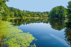South Carolina receives nearly $247 million from Meta settlement - Featured image